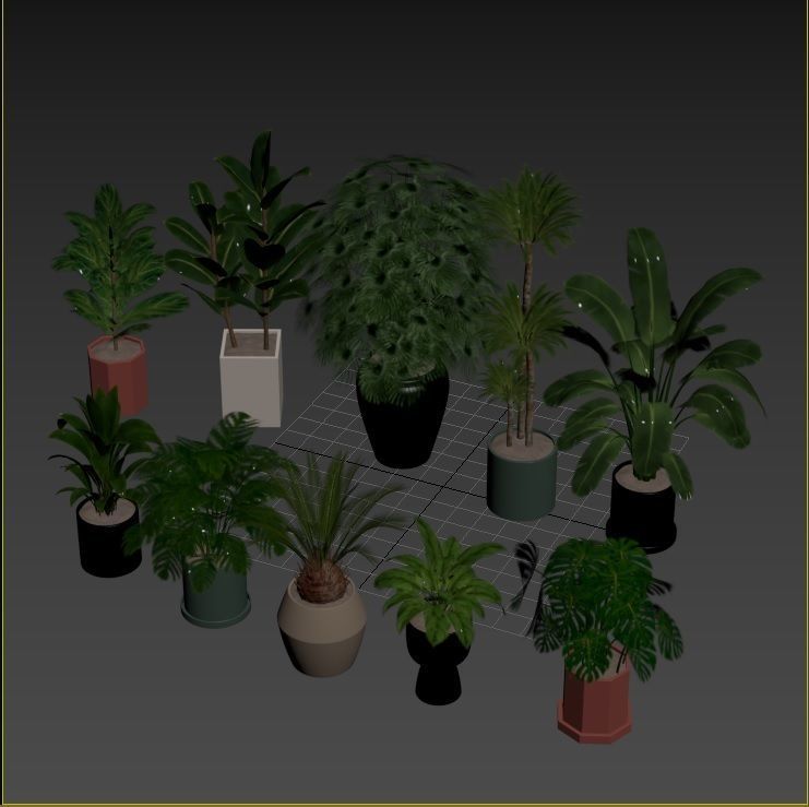 Plant Collection Rpm 01 3D model_14
