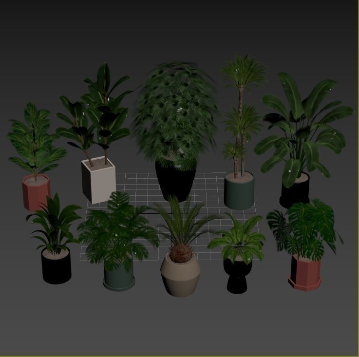 Plant Collection Rpm 01 3D model_13