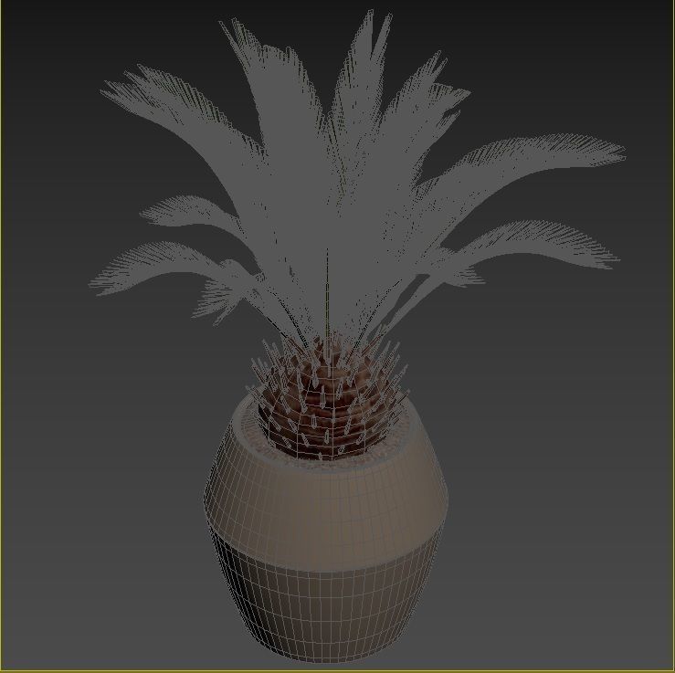 Plant Collection Rpm 01 3D model_21