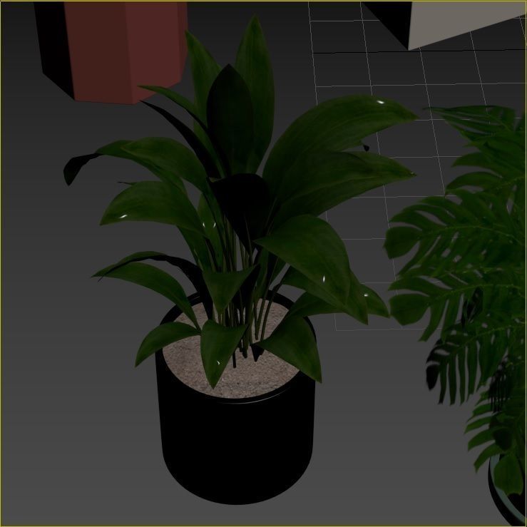 Plant Collection Rpm 01 3D model_16