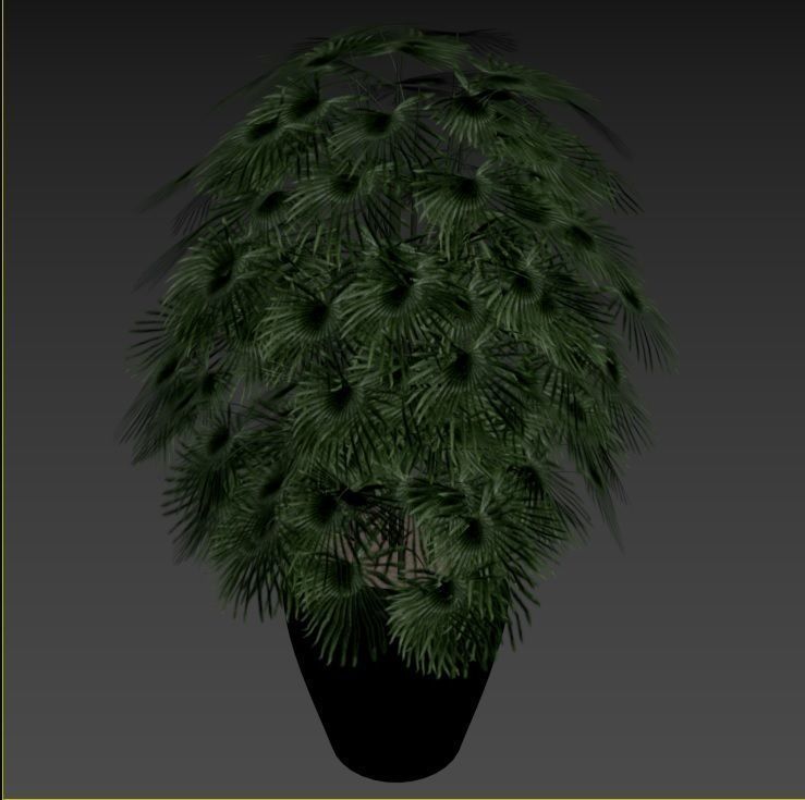 Plant Collection Rpm 01 3D model_30