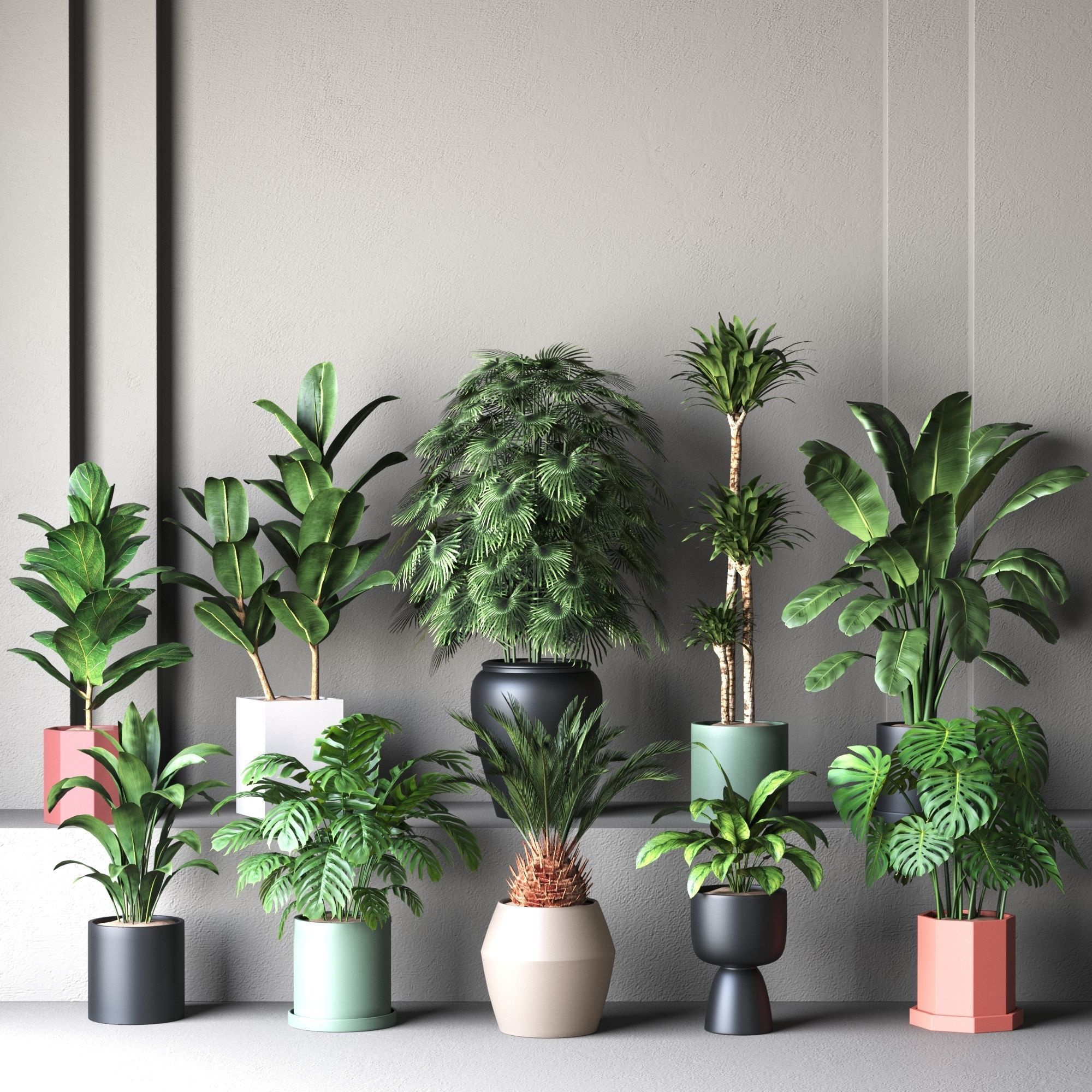 Plant Collection Rpm 01 3D model_1