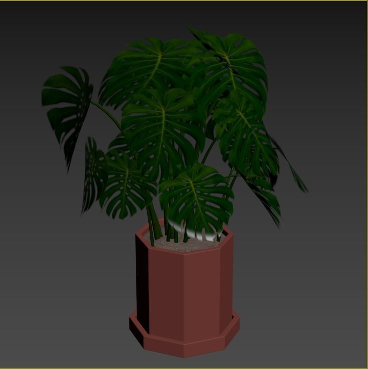 Plant Collection Rpm 01 3D model_24