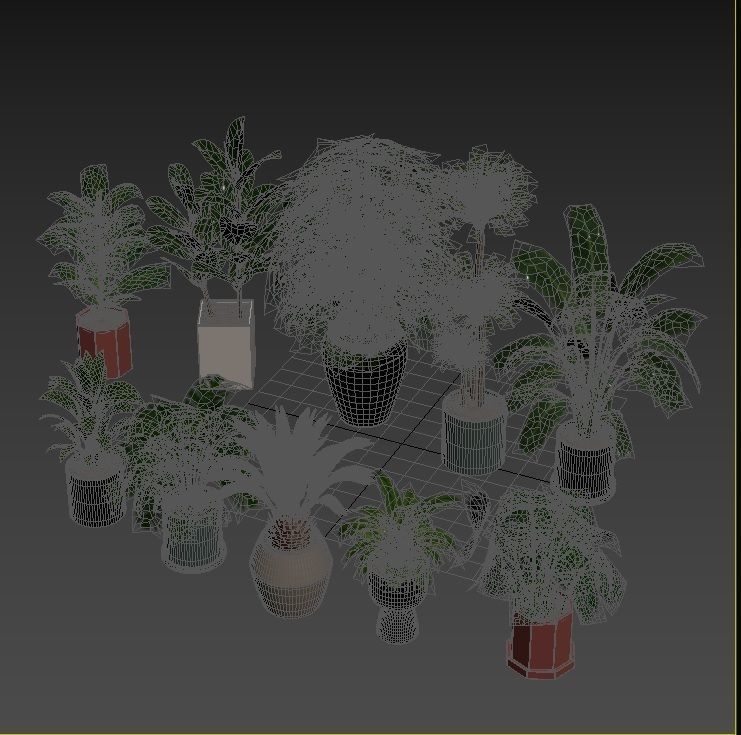 Plant Collection Rpm 01 3D model_15