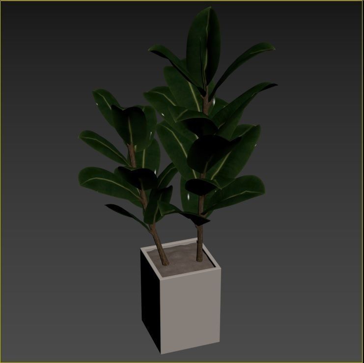 Plant Collection Rpm 01 3D model_33