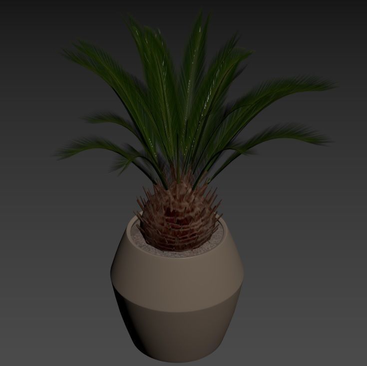 Plant Collection Rpm 01 3D model_23