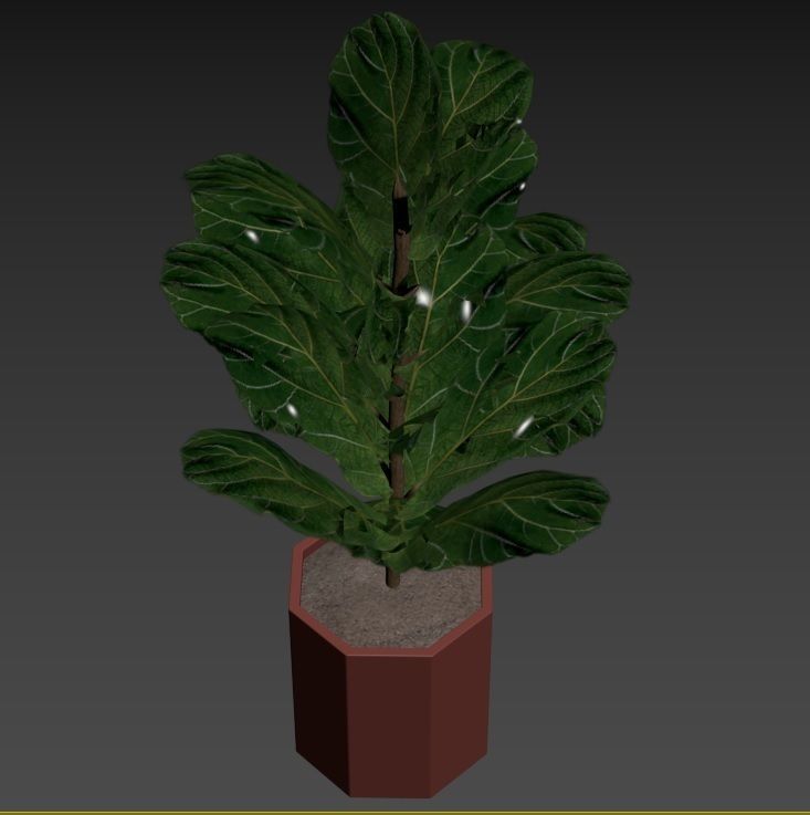 Plant Collection Rpm 01 3D model_34