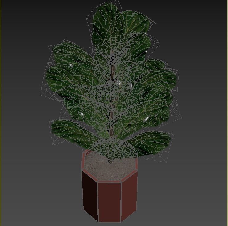 Plant Collection Rpm 01 3D model_36