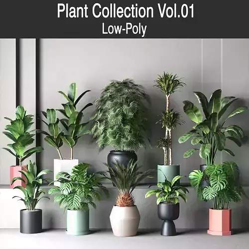 Plant Collection Rpm 01 3D model