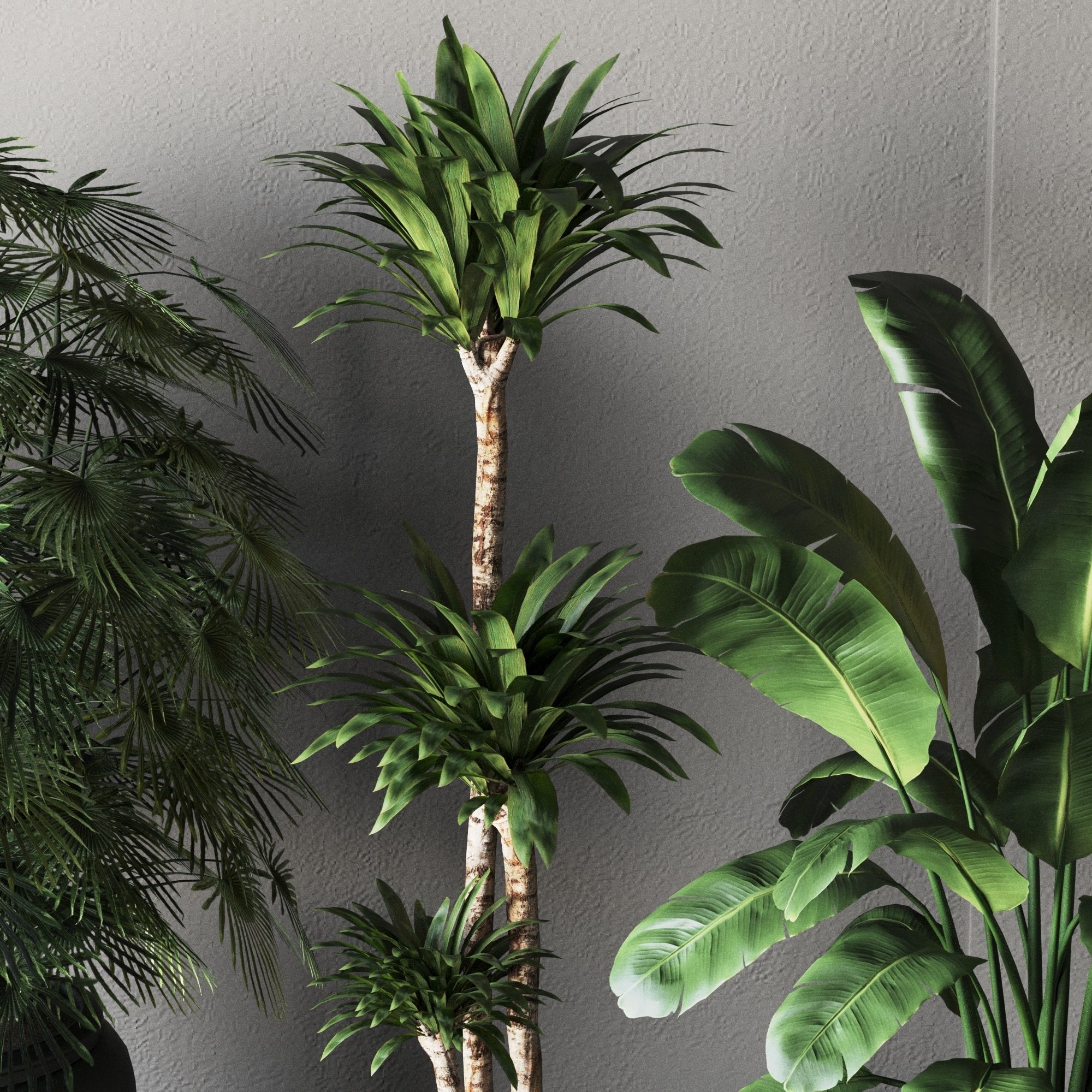 Plant Collection Rpm 01 3D model_8