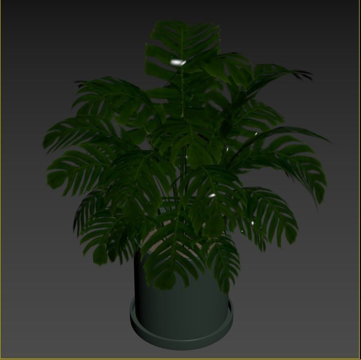 Plant Collection Rpm 01 3D model_20