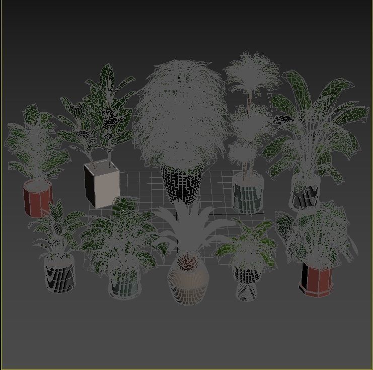 Plant Collection Rpm 01 3D model_17