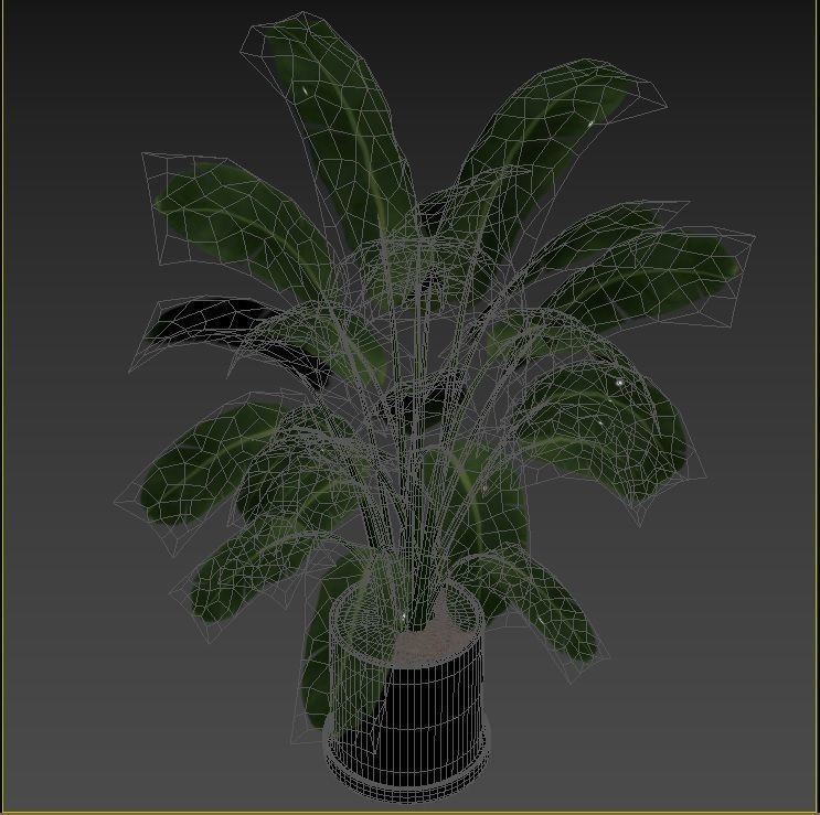 Plant Collection Rpm 01 3D model_31