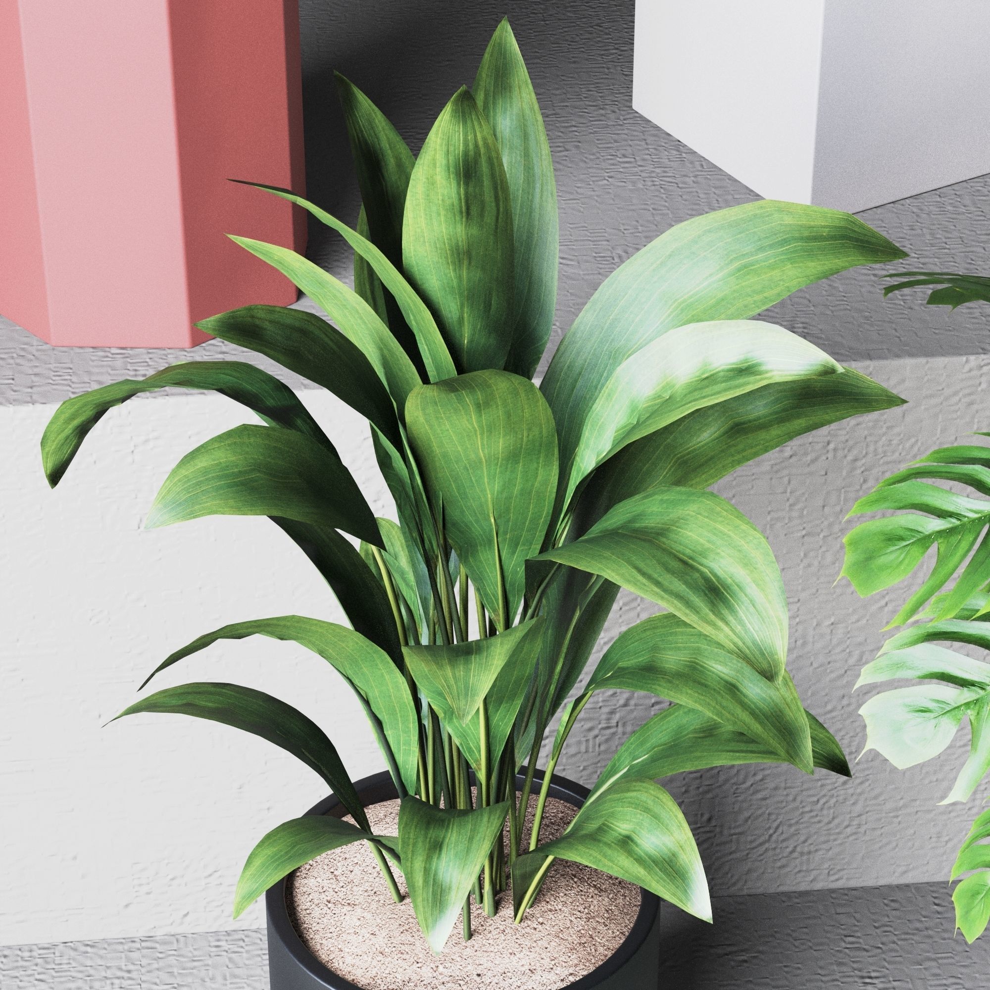 Plant Collection Rpm 01 3D model_11