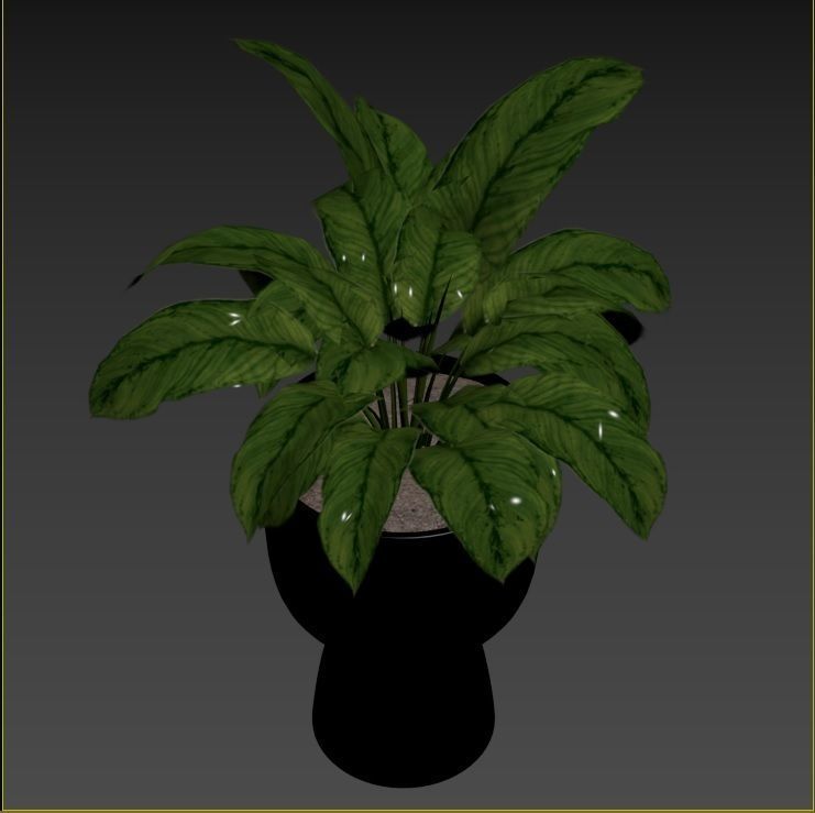 Plant Collection Rpm 01 3D model_22