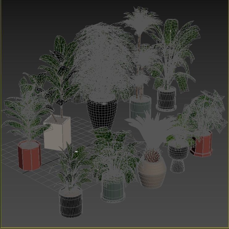 Plant Collection Rpm 01 3D model_18