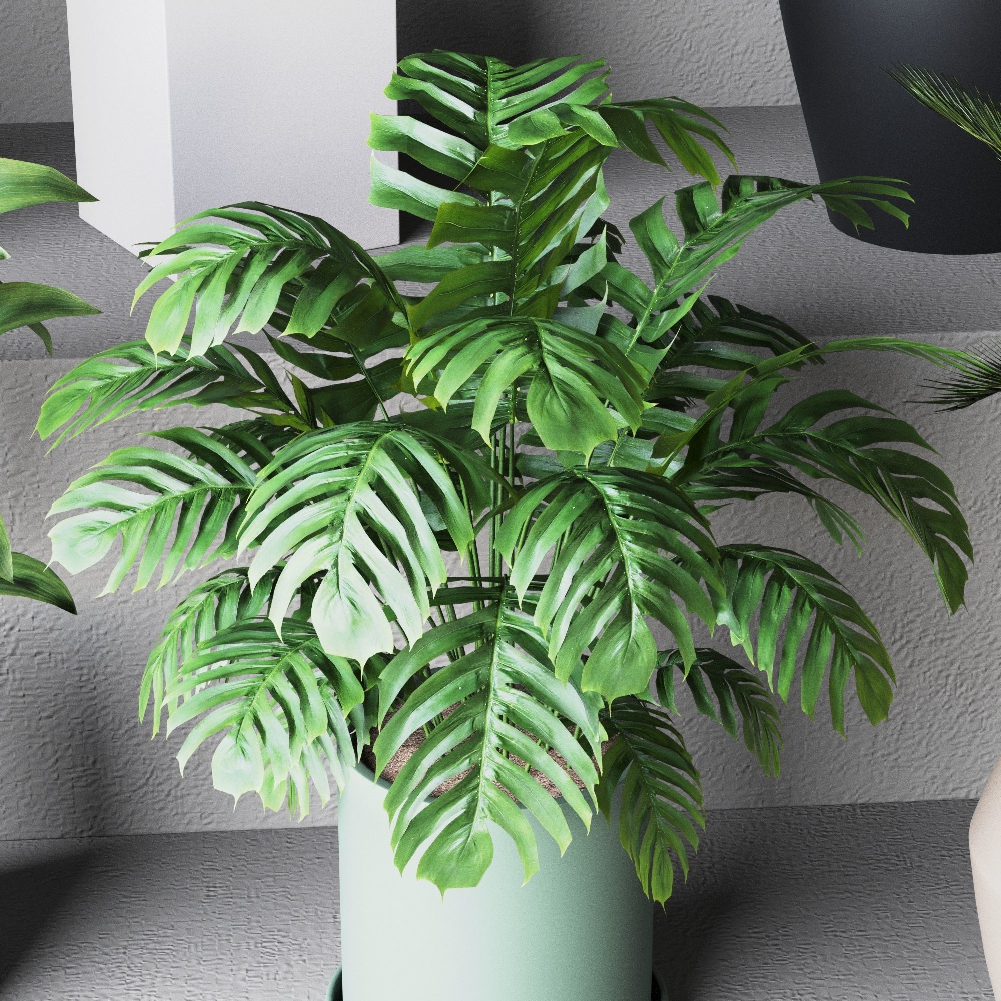 Plant Collection Rpm 01 3D model_4