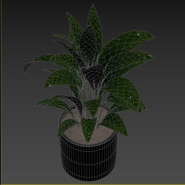 Plant Collection Rpm 01 3D model_19