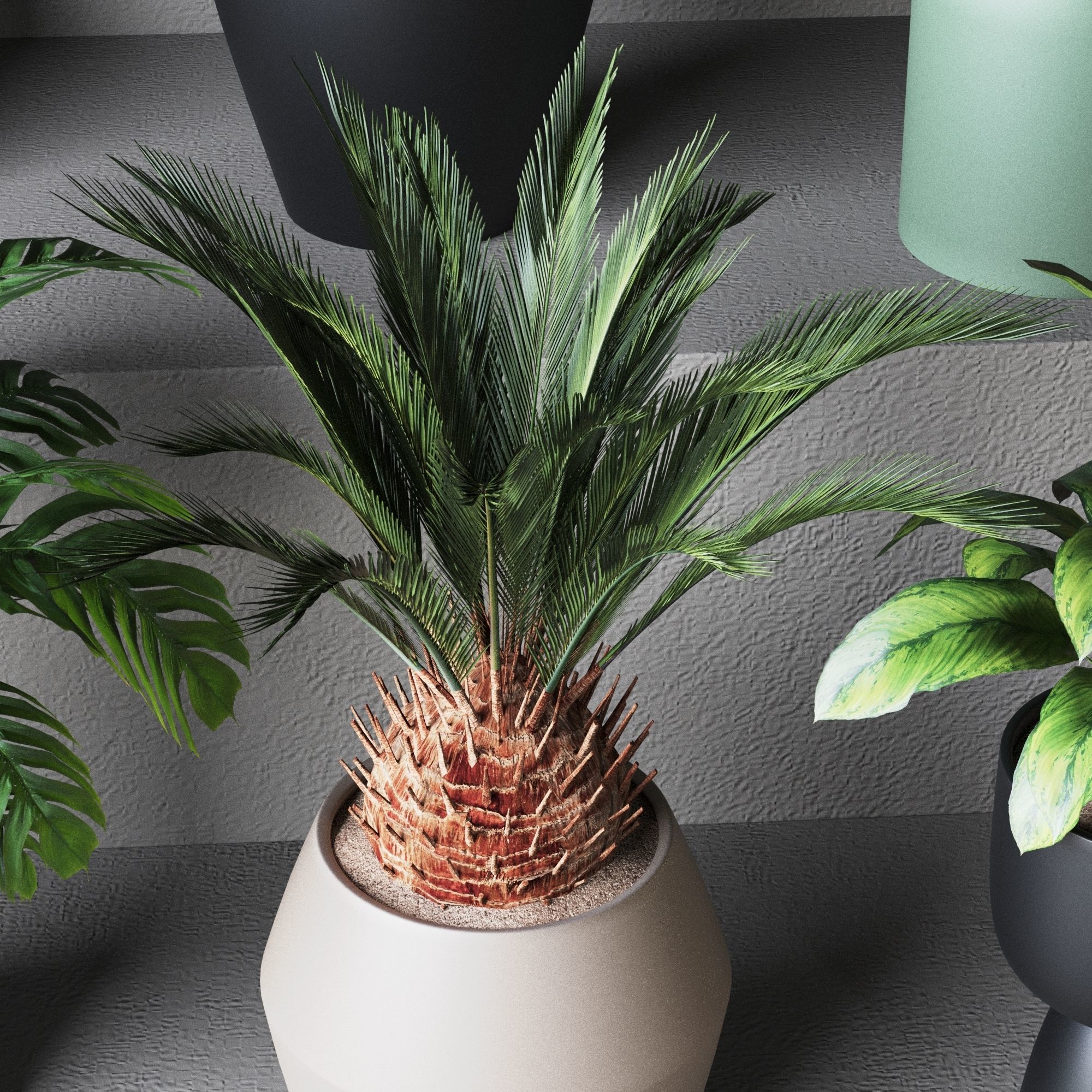 Plant Collection Rpm 01 3D model_3