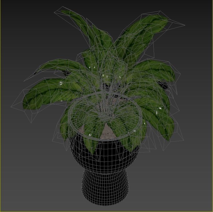 Plant Collection Rpm 01 3D model_27