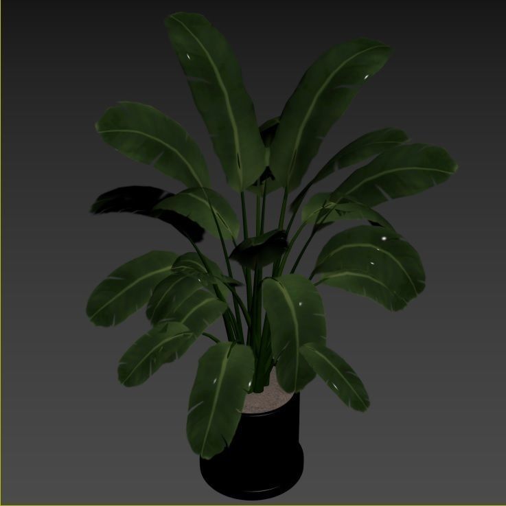 Plant Collection Rpm 01 3D model_29