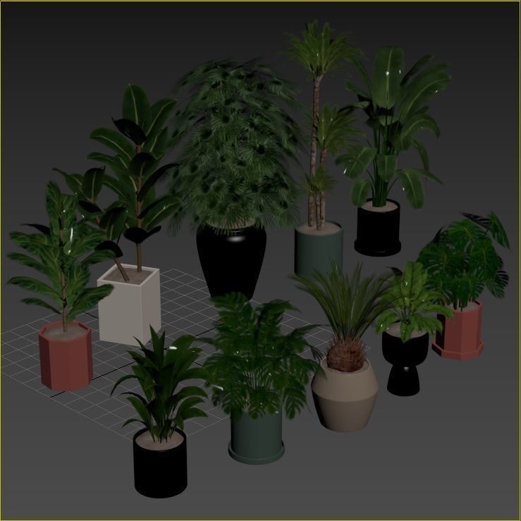 Plant Collection Rpm 01 3D model_38