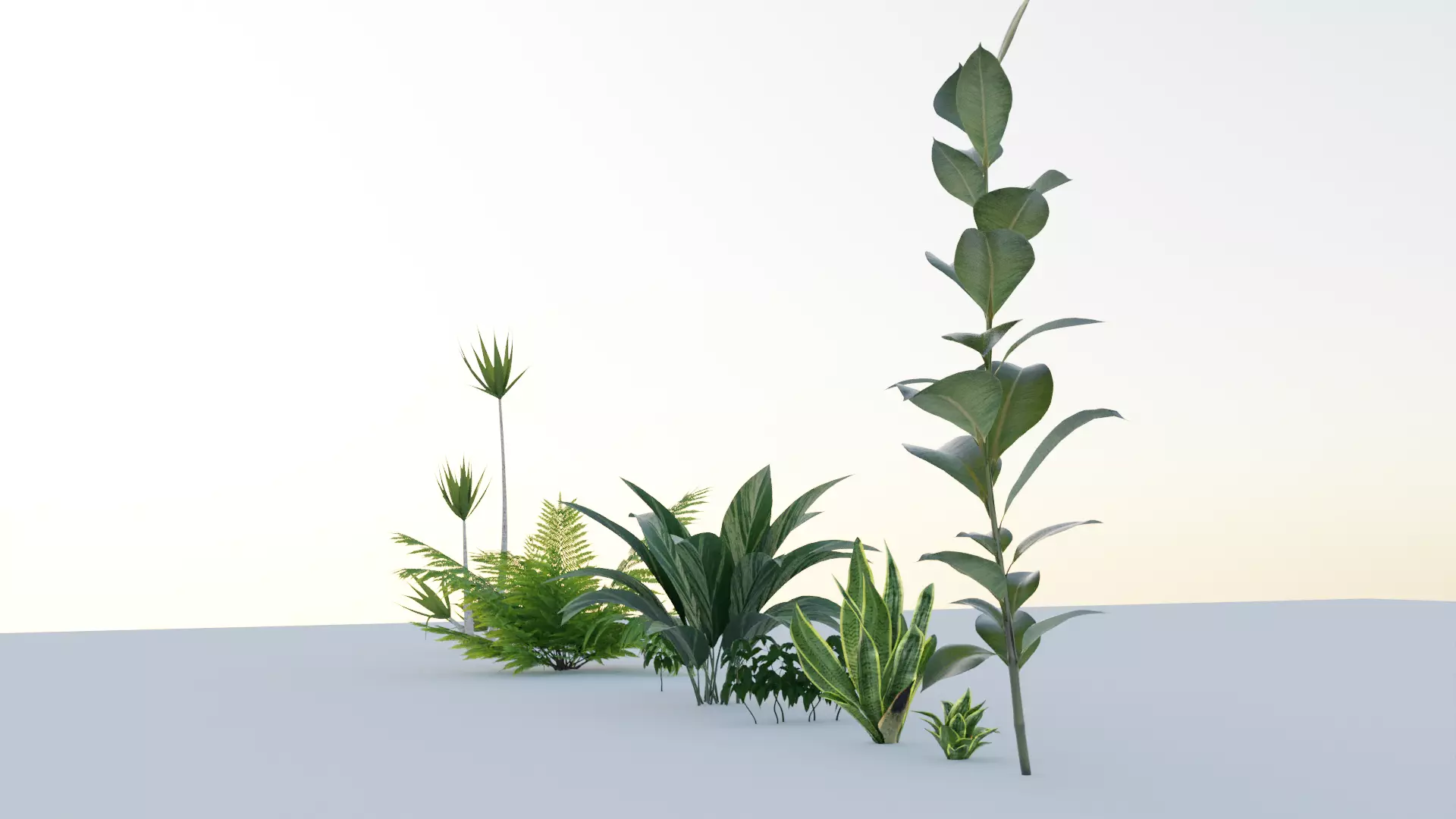Plants 3D model