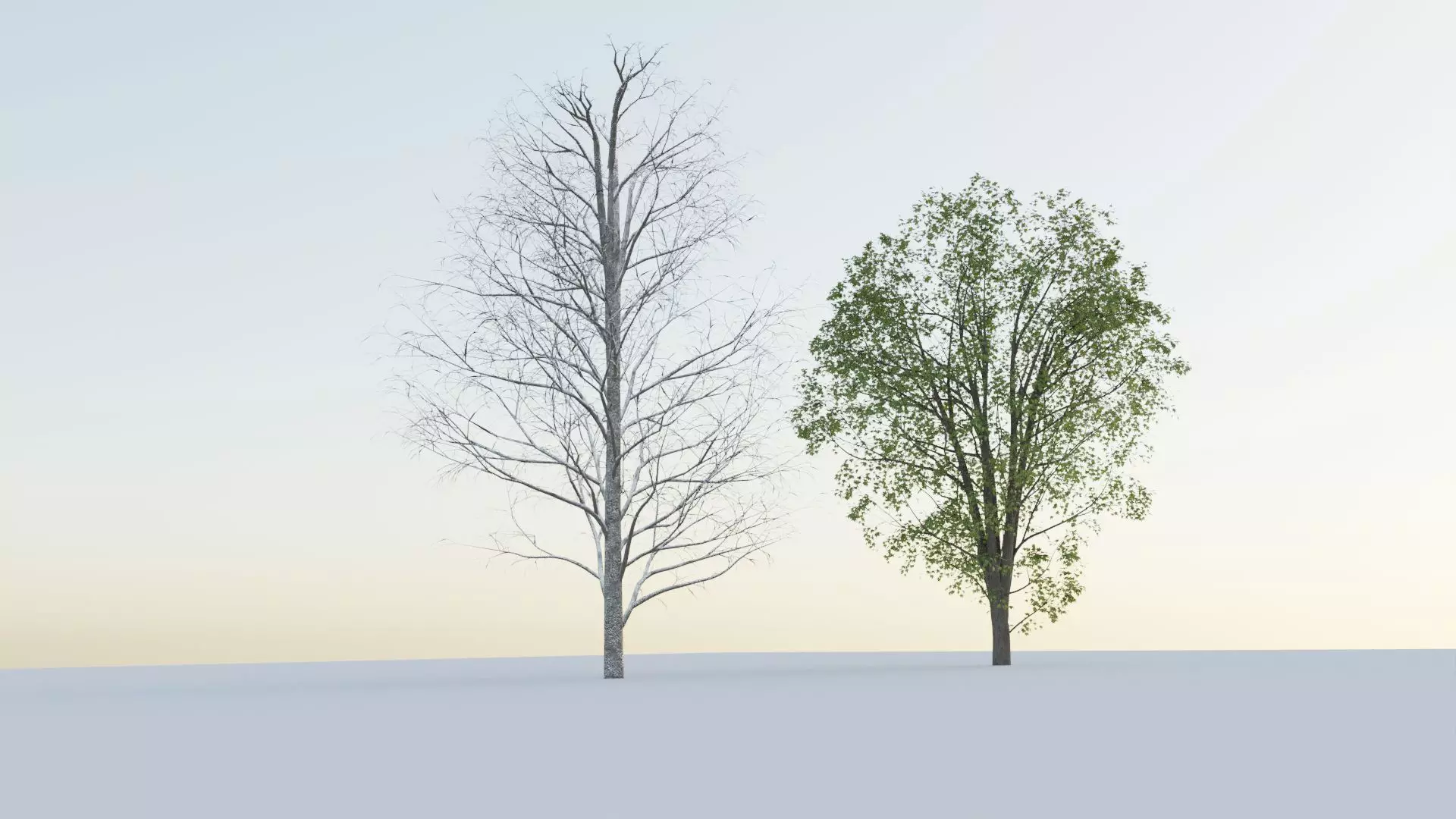 Tree normal 3D model_0