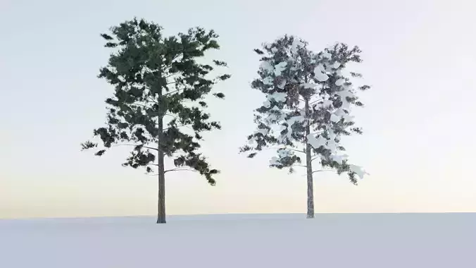 Tree normal  snowy 3D model
