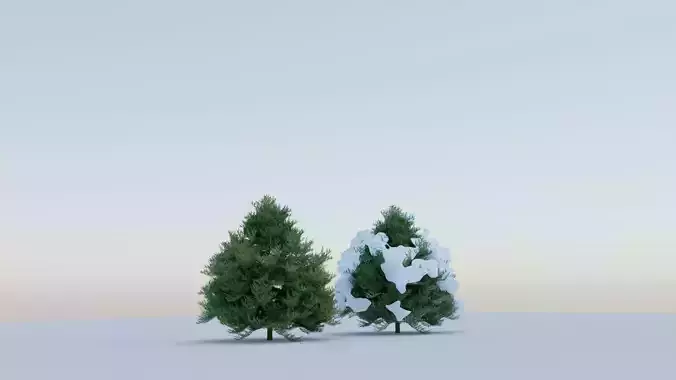 Tree normal  snowy