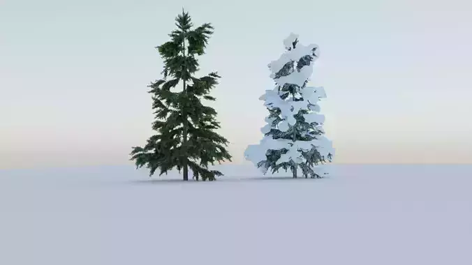 Tree normal  snowy