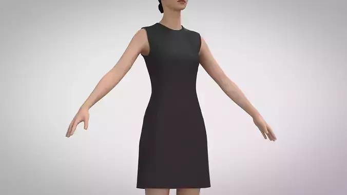 Sheath Dress 2
