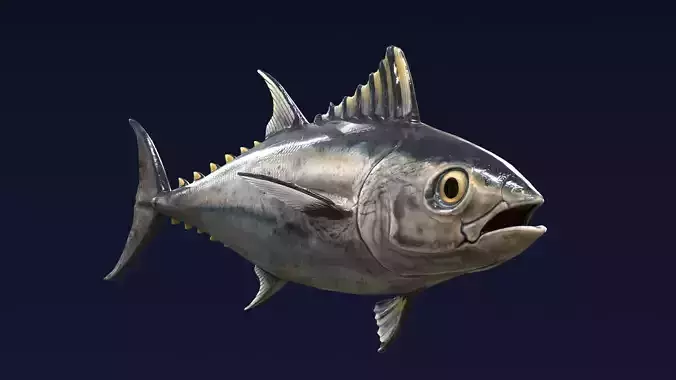 Bluefin Tuna Fish low poly Low-poly 3D model