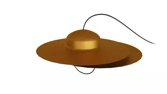 Taal assamese 3d model