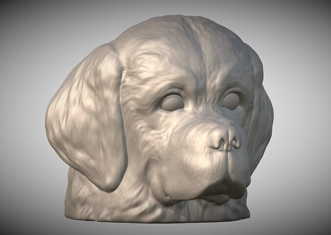 Puppy of Saint Bernard dog head for 3D printing 3D print model