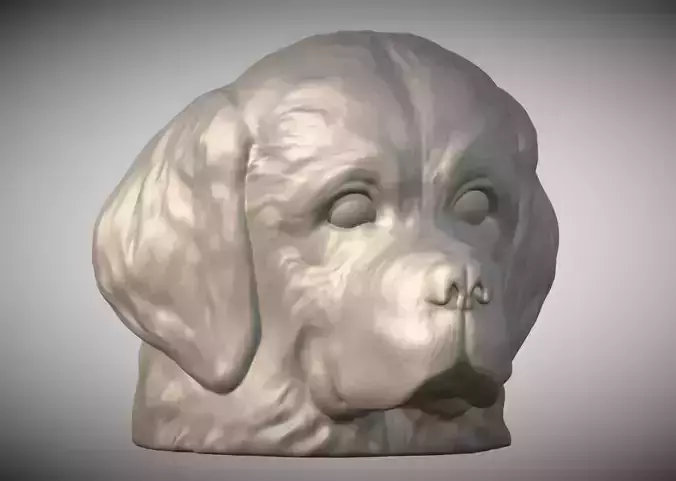 Puppy of Saint Bernard dog head for 3D printing 3D print model