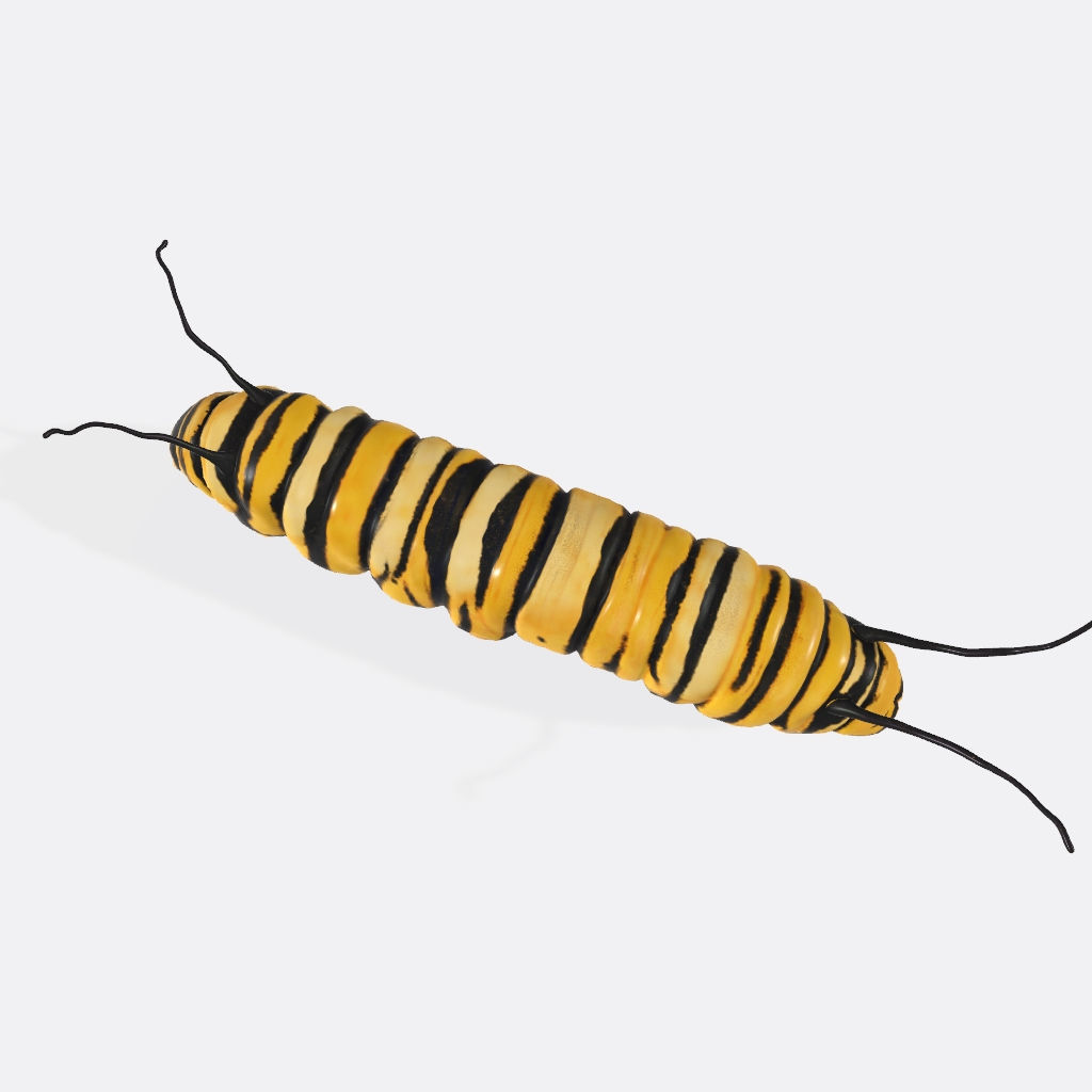 Caterpillar 3D Model Ready to Print 3D print model_6