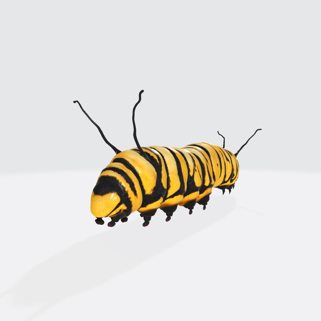 Caterpillar 3D Model Ready to Print 3D print model_4