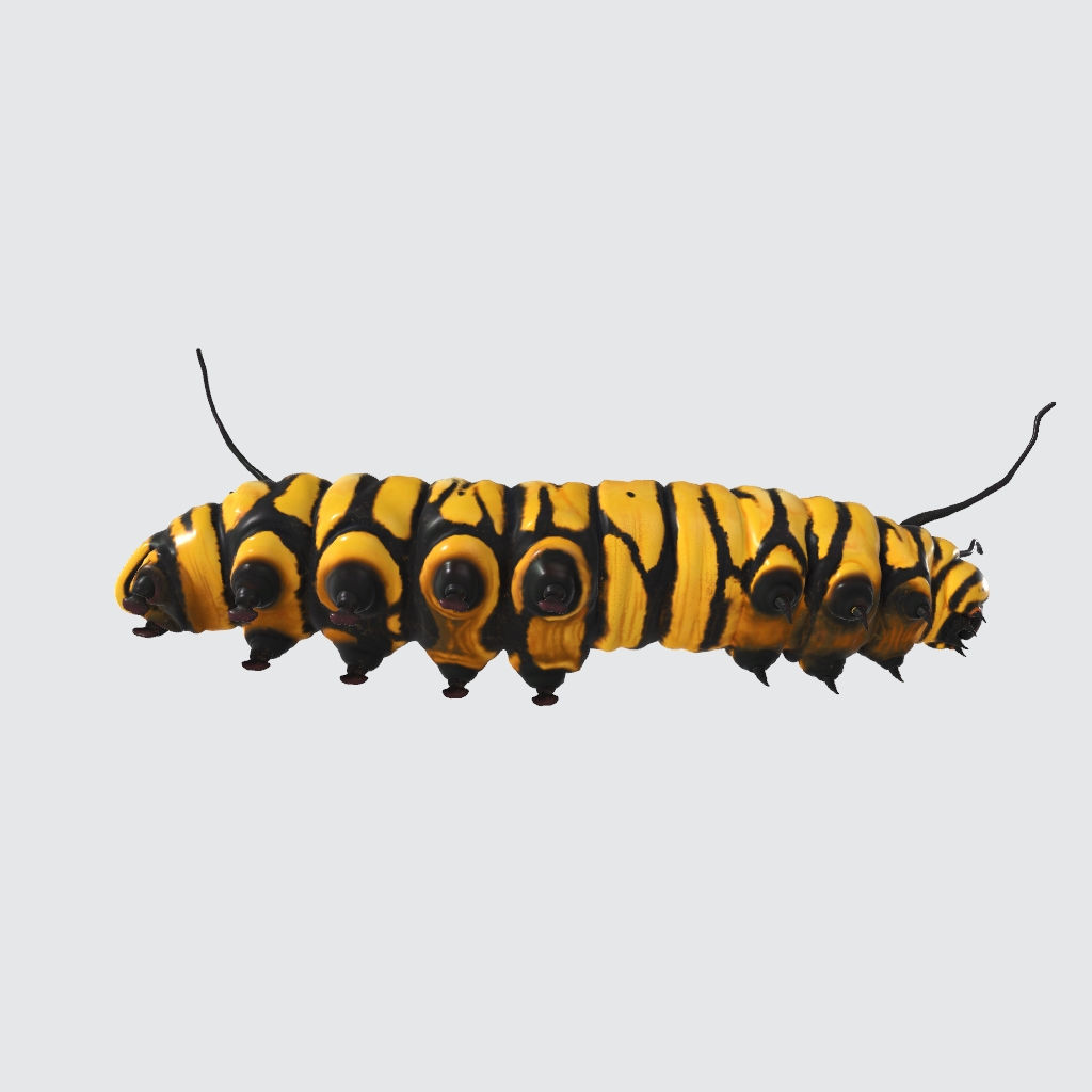 Caterpillar 3D Model Ready to Print 3D print model_3
