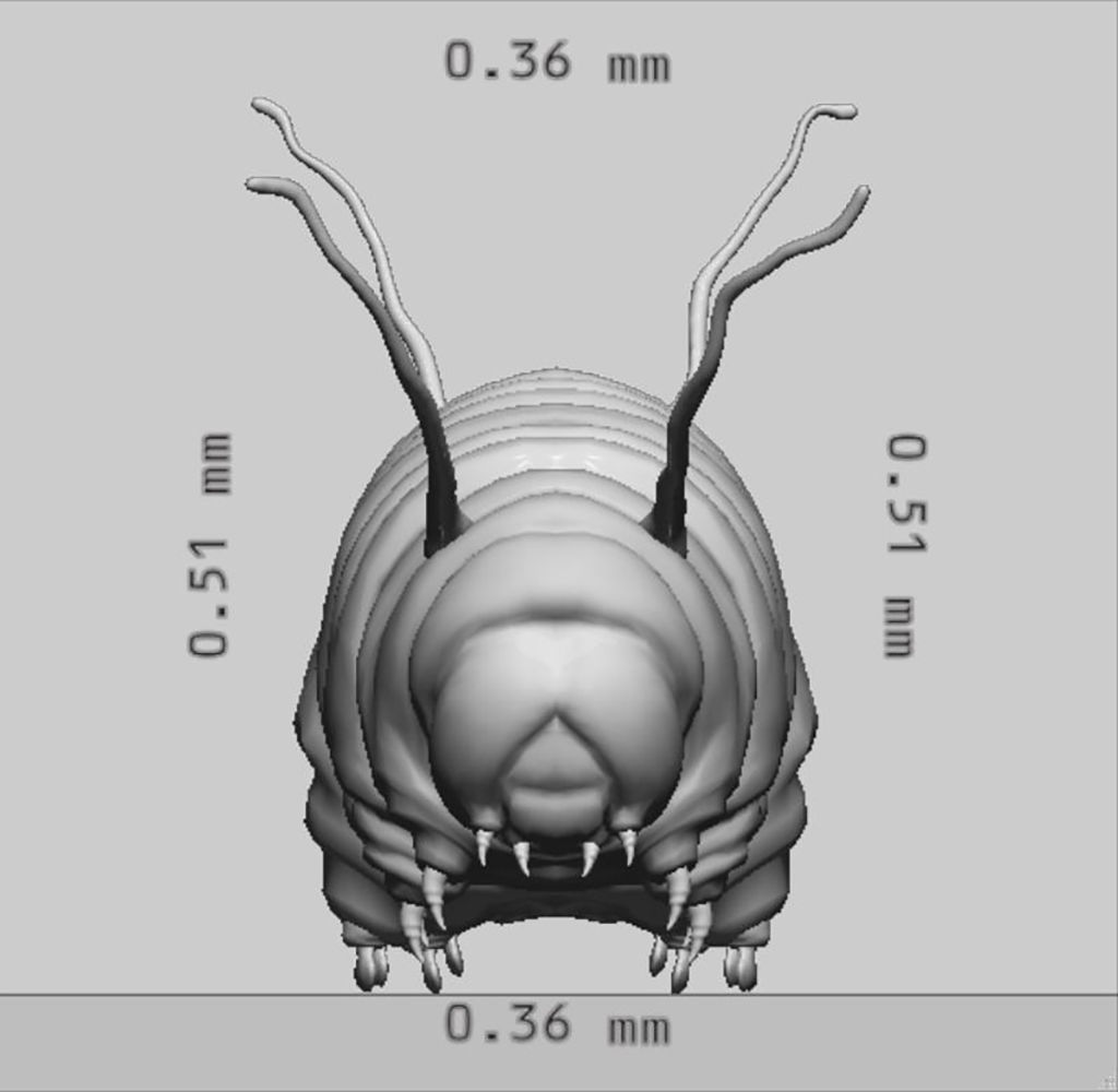 Caterpillar 3D Model Ready to Print 3D print model_8