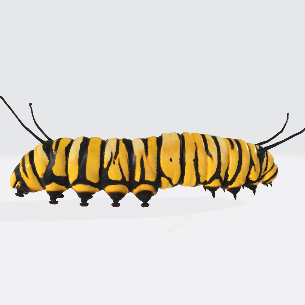 Caterpillar 3D Model Ready to Print 3D print model_5