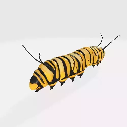 Caterpillar 3D Model Ready to Print 3D print model