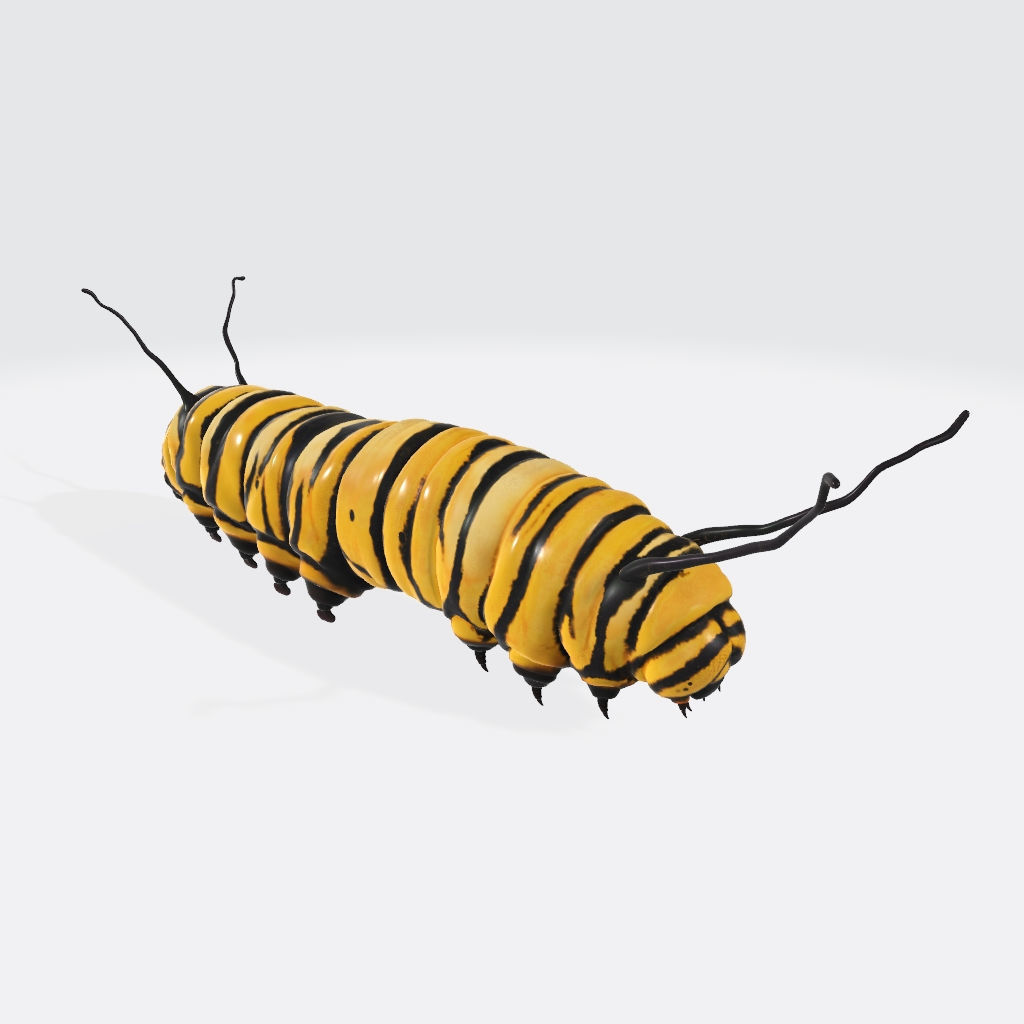 Caterpillar 3D Model Ready to Print 3D print model_1