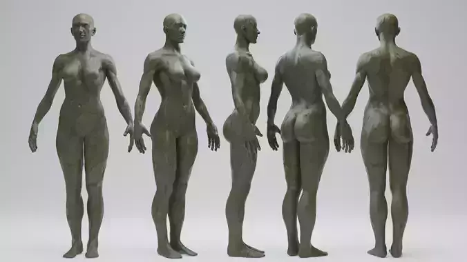 Female Blockout 3D model