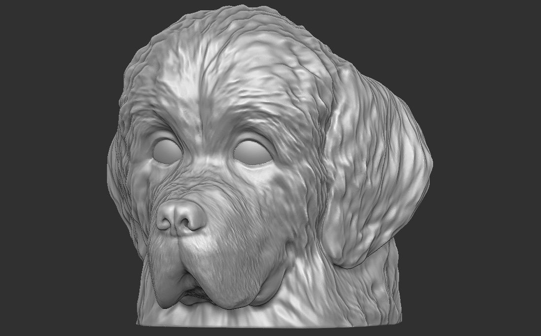 Puppy of Newfoundland dog head for 3D printing 3D print model_16