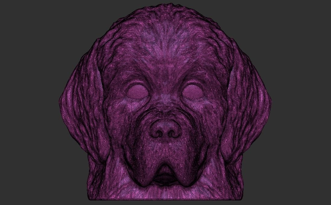 Puppy of Newfoundland dog head for 3D printing 3D print model_24