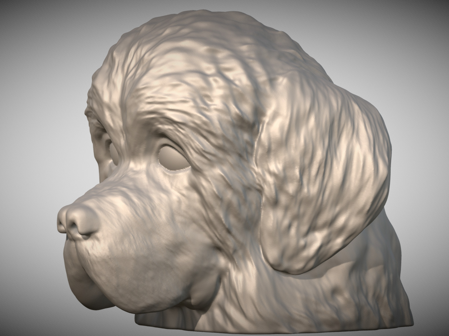 Puppy of Newfoundland dog head for 3D printing 3D print model_2