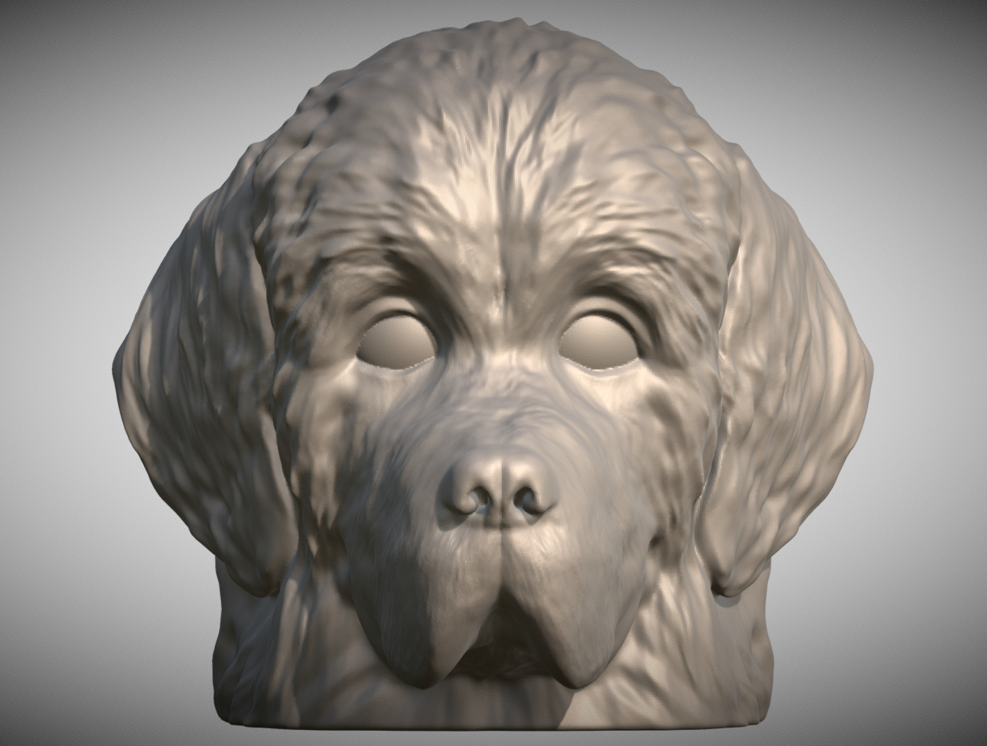 Puppy of Newfoundland dog head for 3D printing 3D print model_3