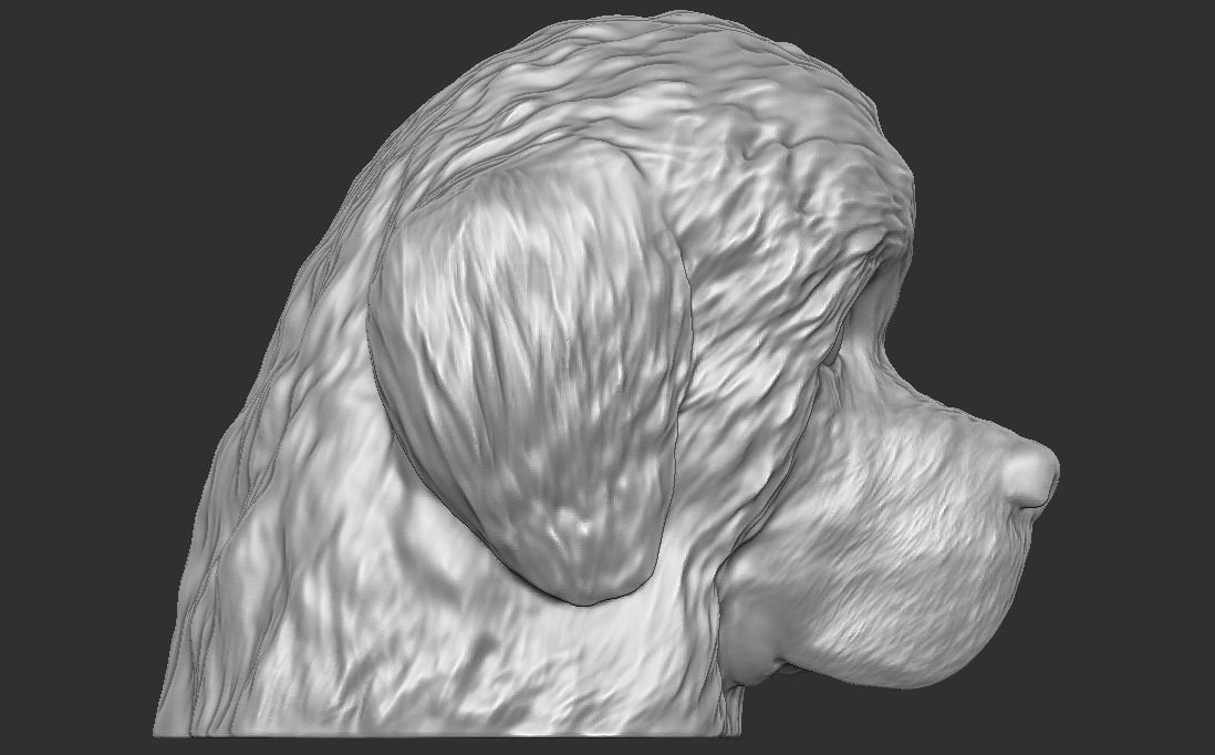 Puppy of Newfoundland dog head for 3D printing 3D print model_9