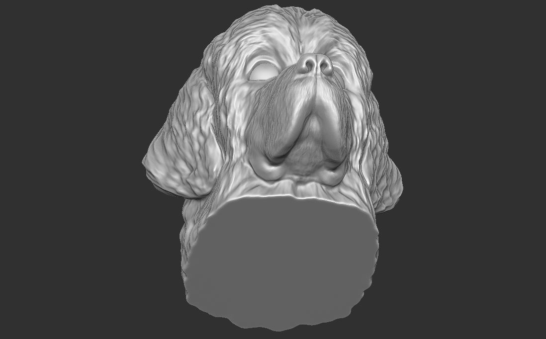 Puppy of Newfoundland dog head for 3D printing 3D print model_23